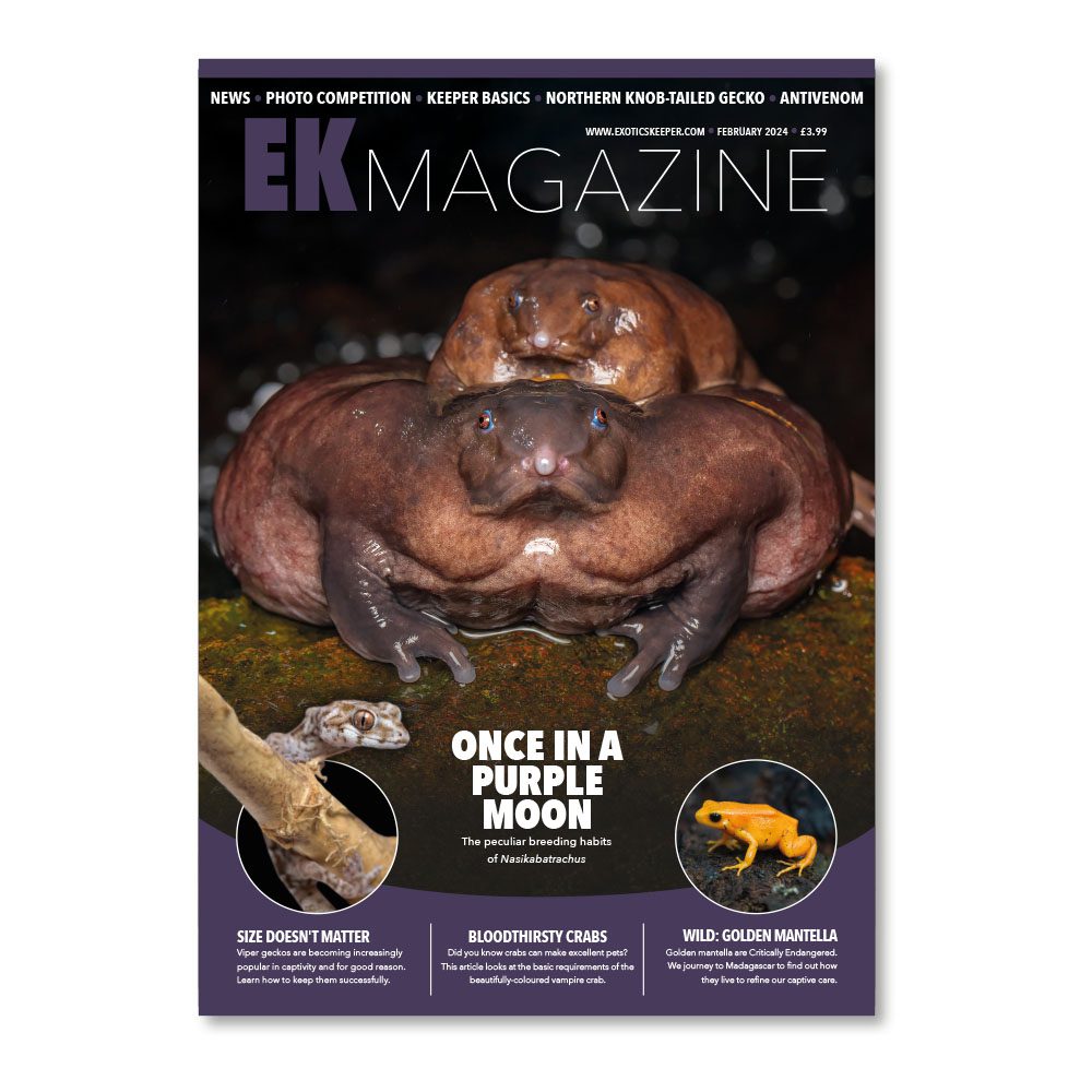 EK Magazine Feb - 2024 (Issue 40)