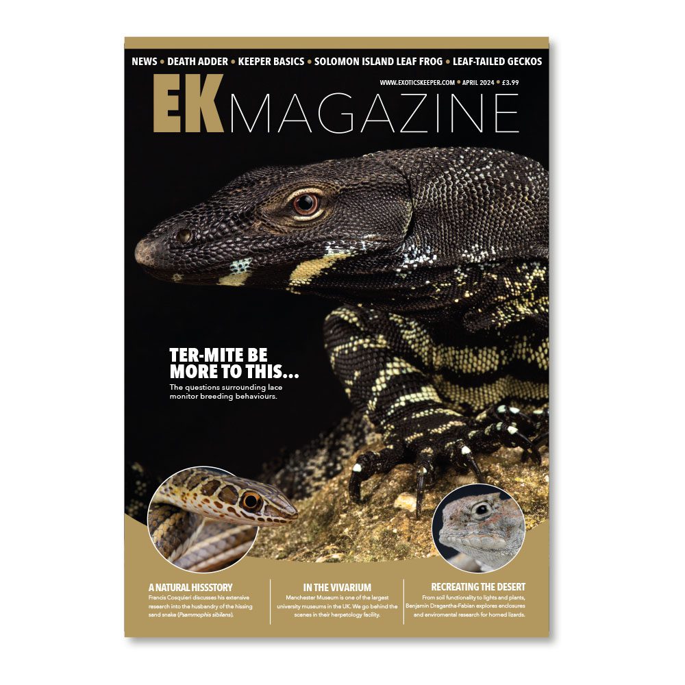 EK Magazine Apr - 2024 (Issue 42)