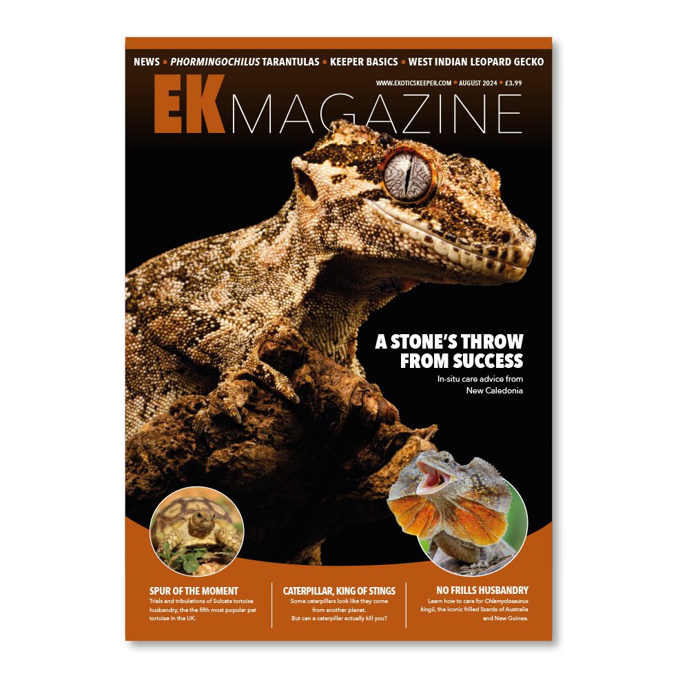 EK Magazine Aug - 2024 (Issue 46)