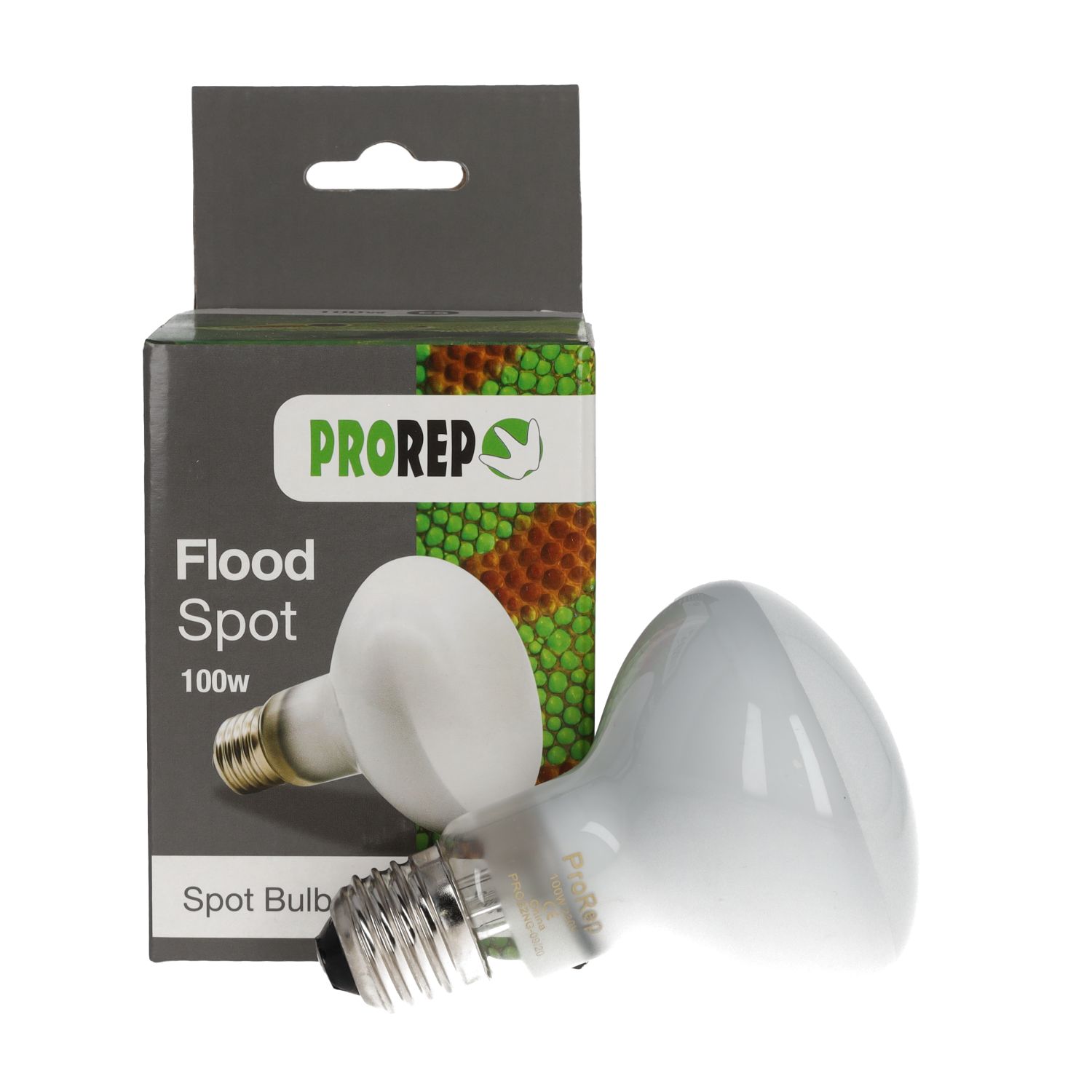 PR Flood Spot Lamp 100w ES