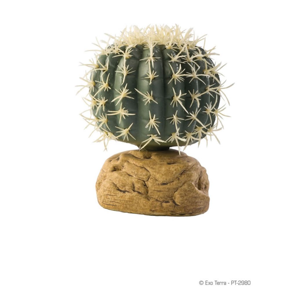 ET Barrel Cactus Small, PT-2980