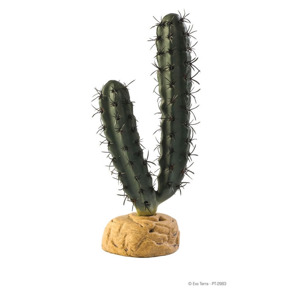 ET Finger Cactus, PT-2983