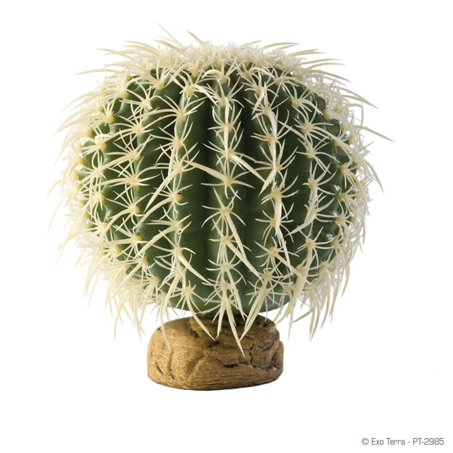 ET Barrel Cactus Medium, PT-2985