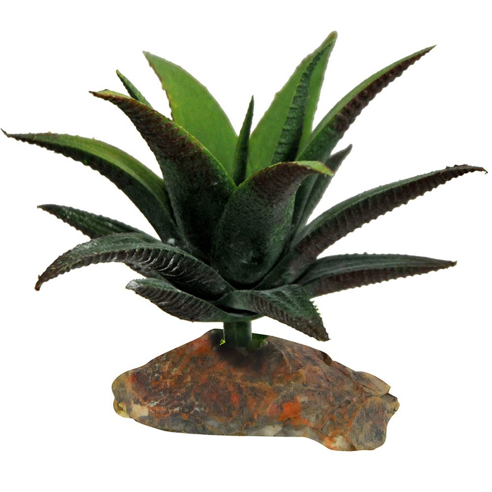 *LR Succulent Small IF-90