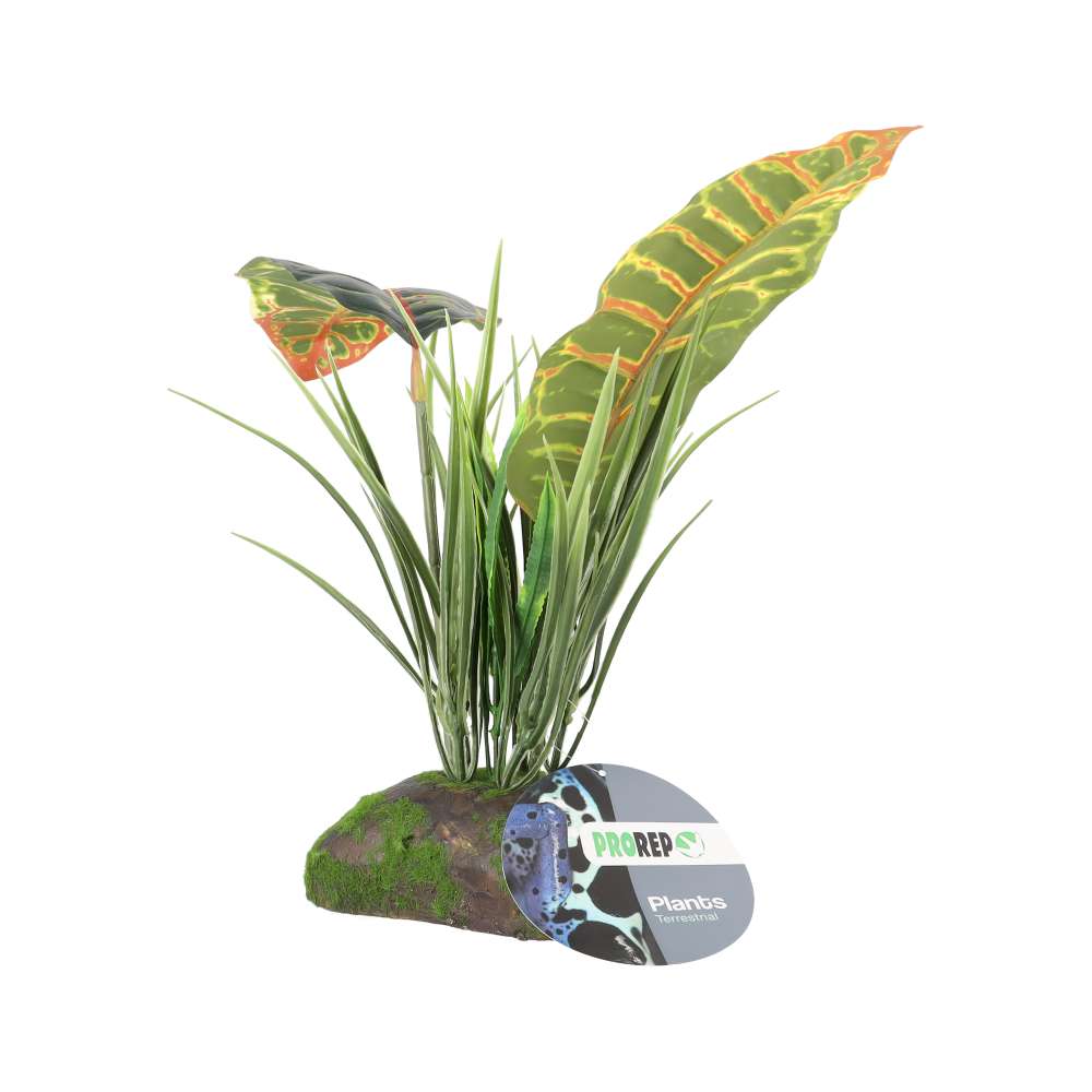 *PR Artificial Tropical Croton Plant, 30cm