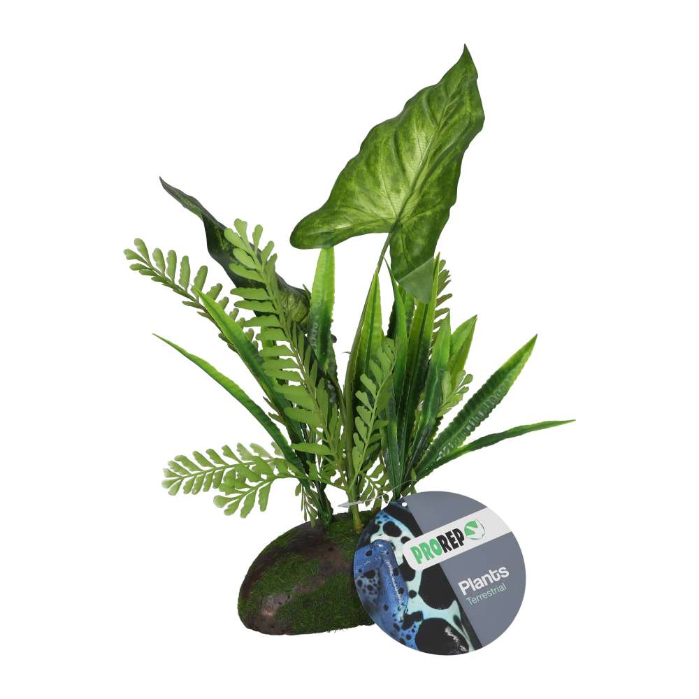 *PR Artificial Philodendron Gigas Plant, 35cm