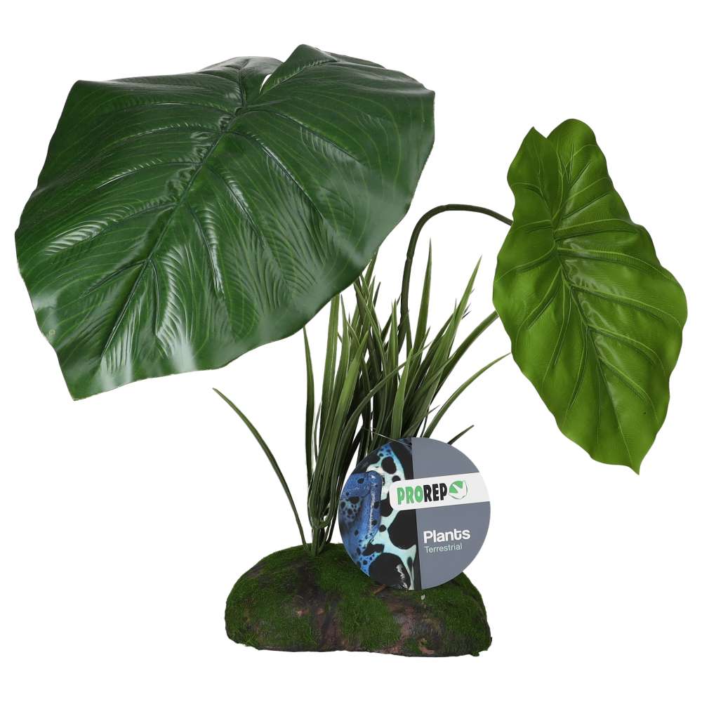 *PR Artificial Philodendron maximum Plant, 45cm