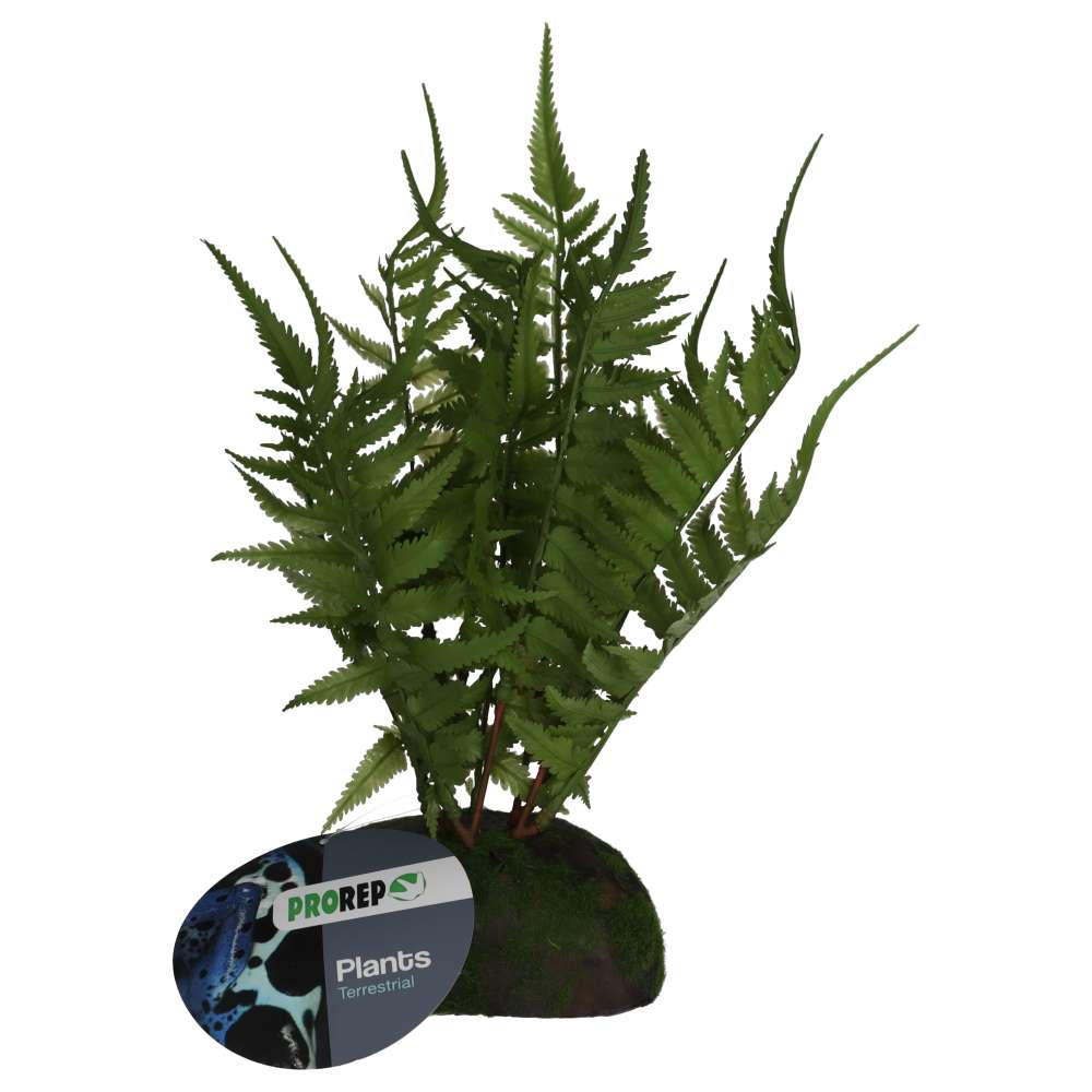 *PR Artificial Tropical Fern Plant, 25cm