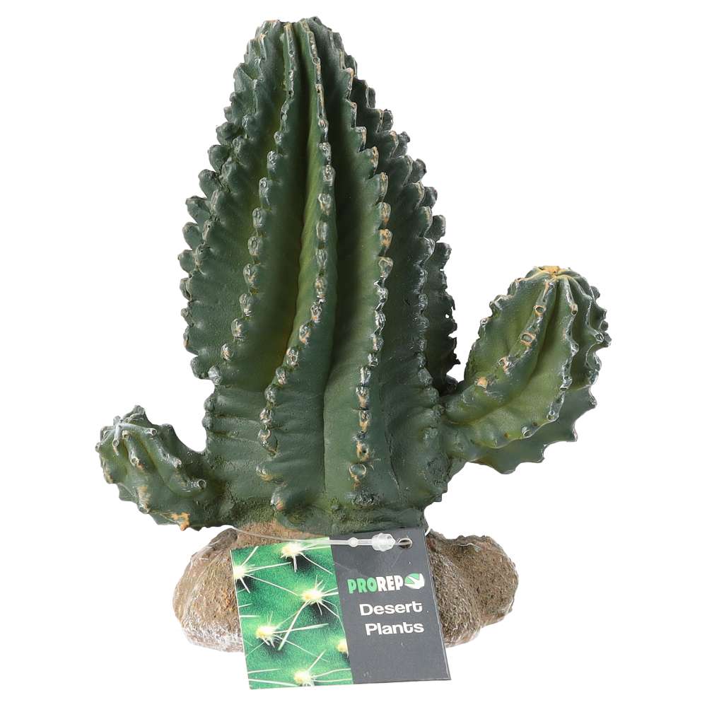 PR Cactus 13x7.5x15cm PPP200