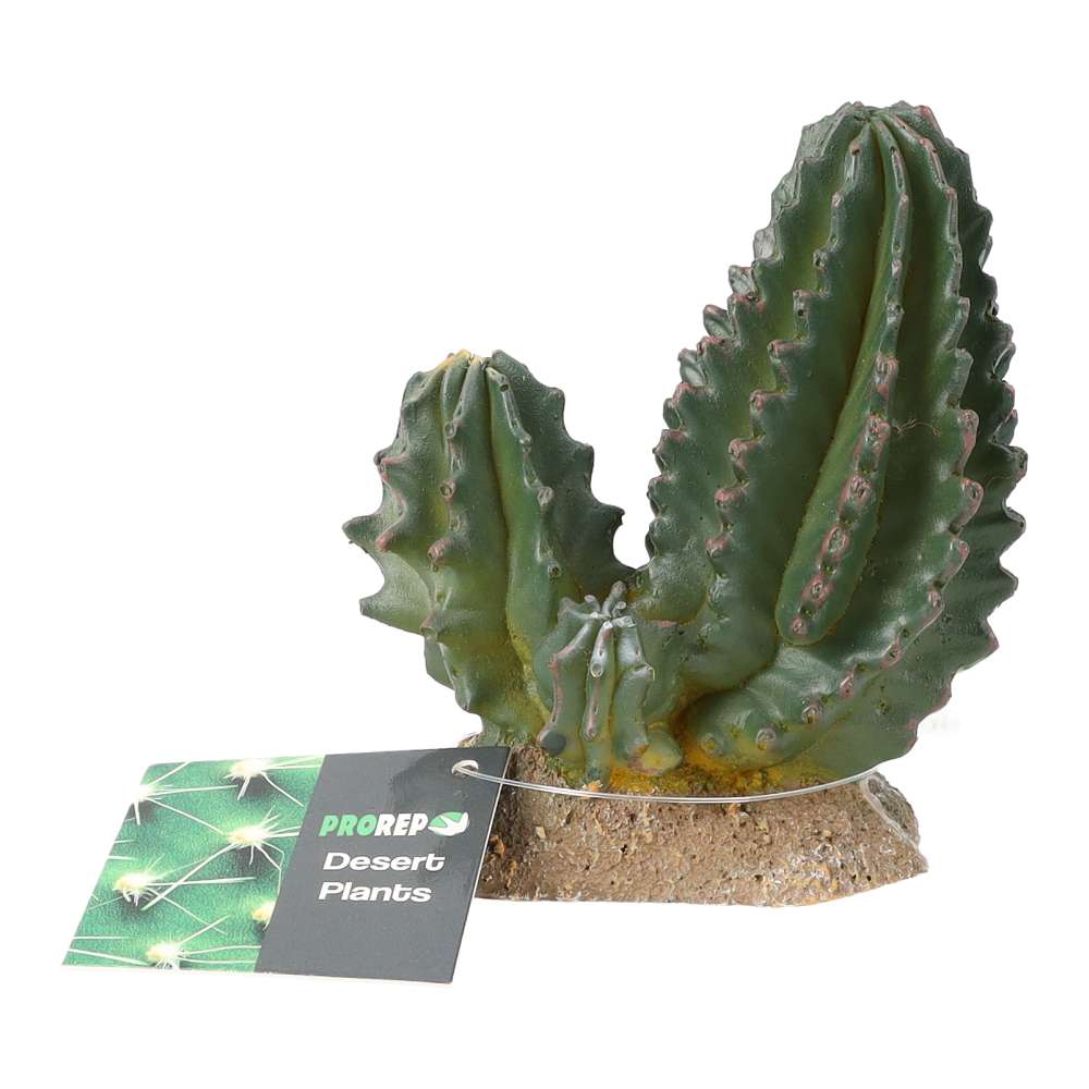 PR Cactus Group 9x5.5x10cm PPP201