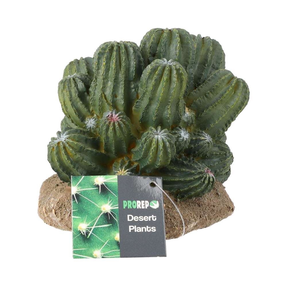 PR Cactus Cluster 12x10.5x11cm PPP202