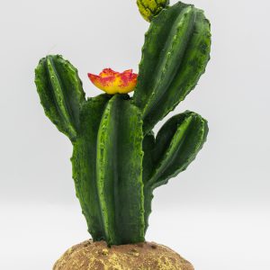 PR Flowering Cactus Med 16.5x10.5x22.5cm PP204