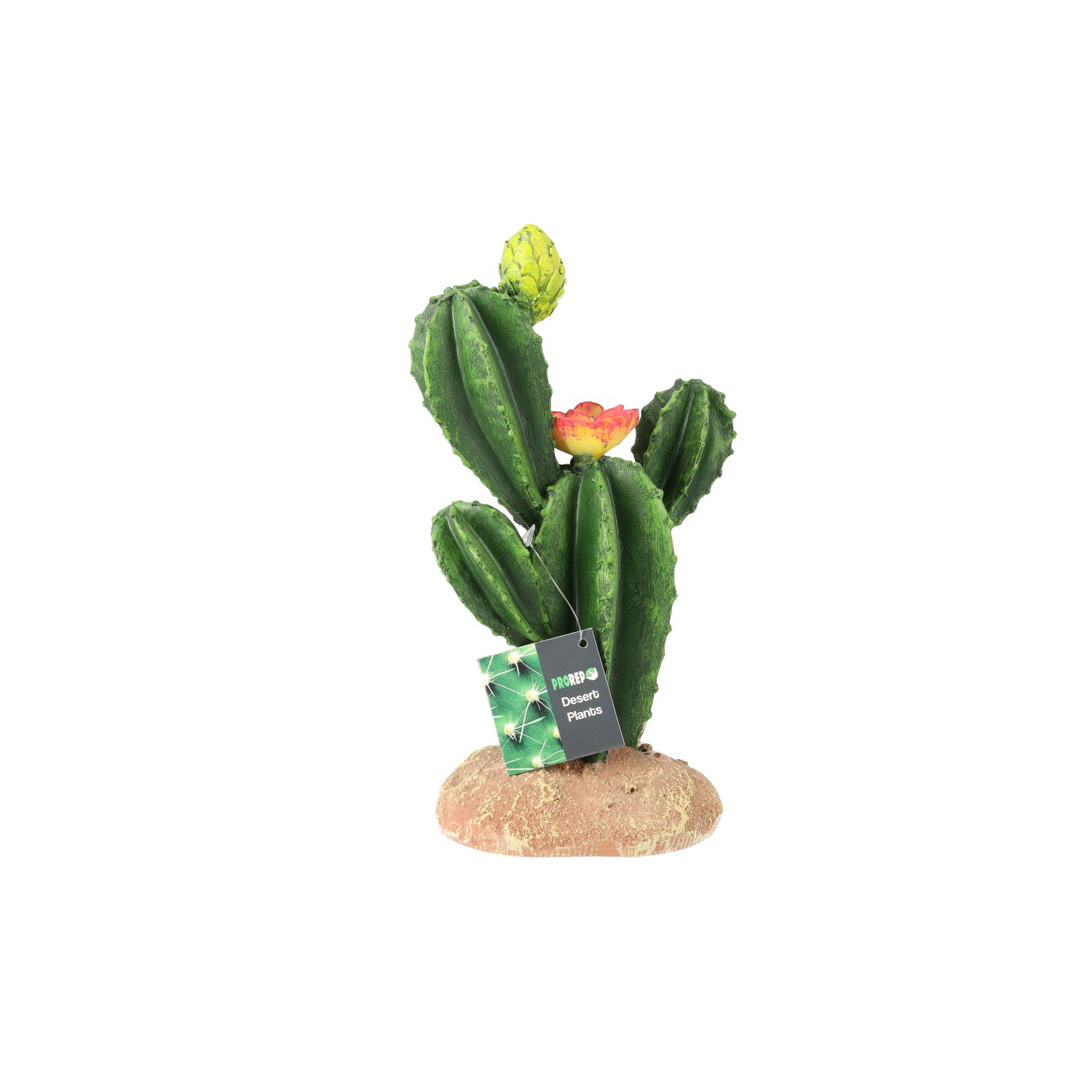 PR Flowering Cactus Med 16.5x10.5x22.5cm PP204