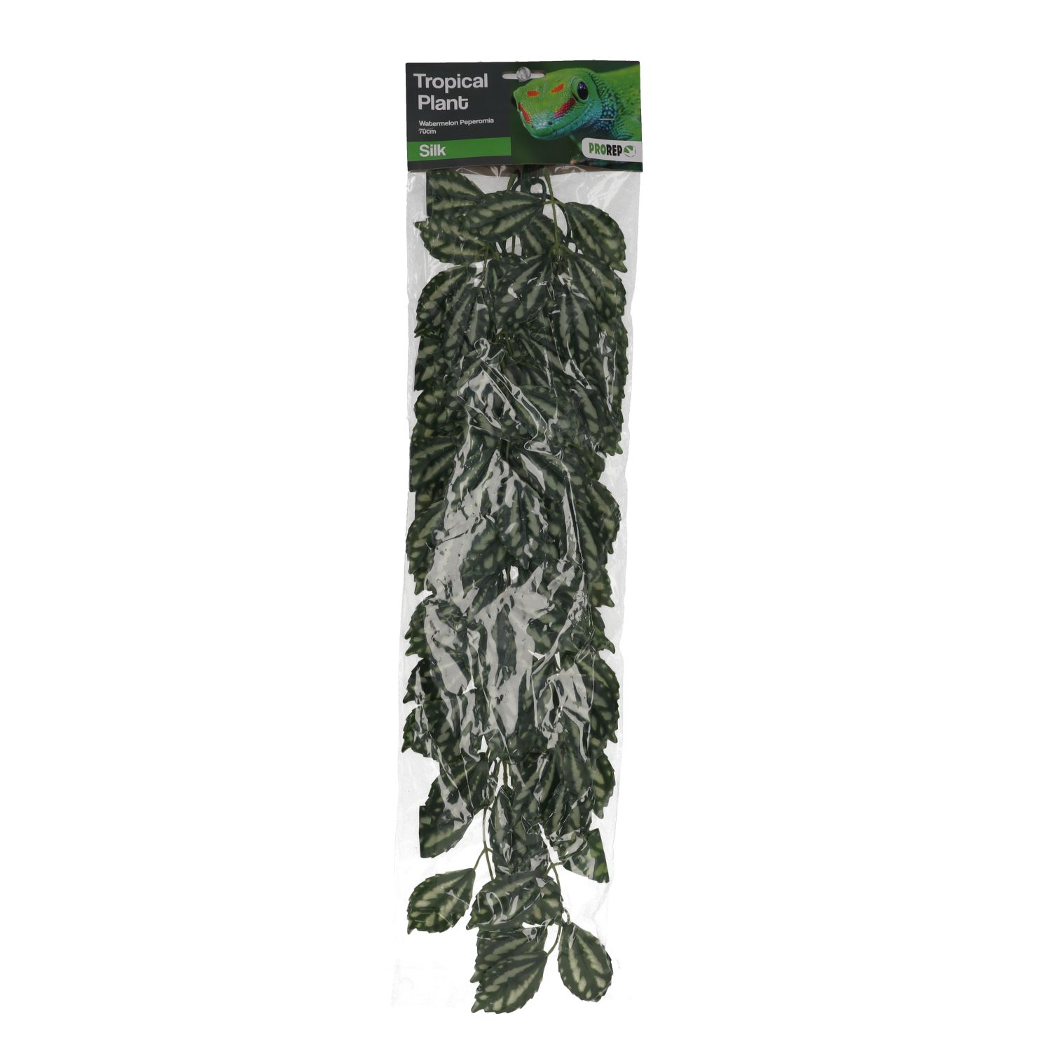 PR Silk Hanging Plant Watermelon Peperomia 45cm