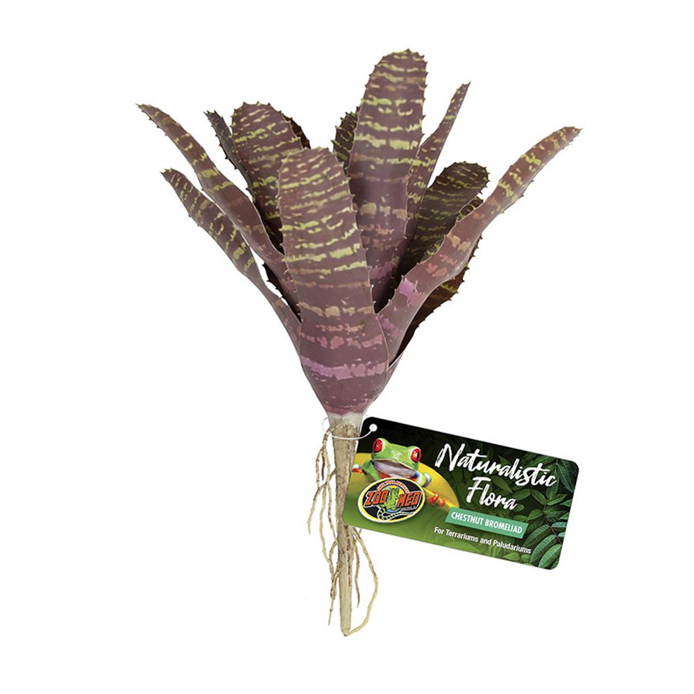 ZM Naturalistic Flora Chestnut Bromeliad, BU-61