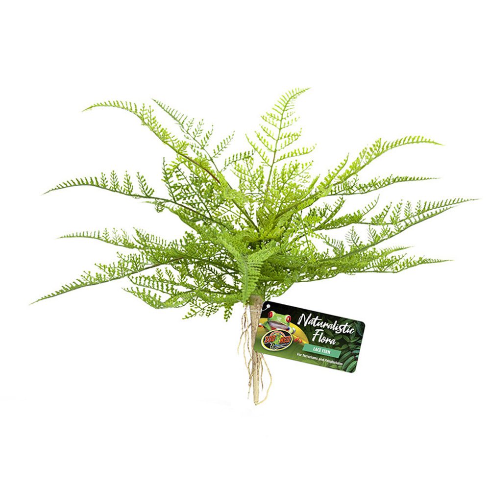 ZM Naturalistic Flora Lace Fern, BU-62