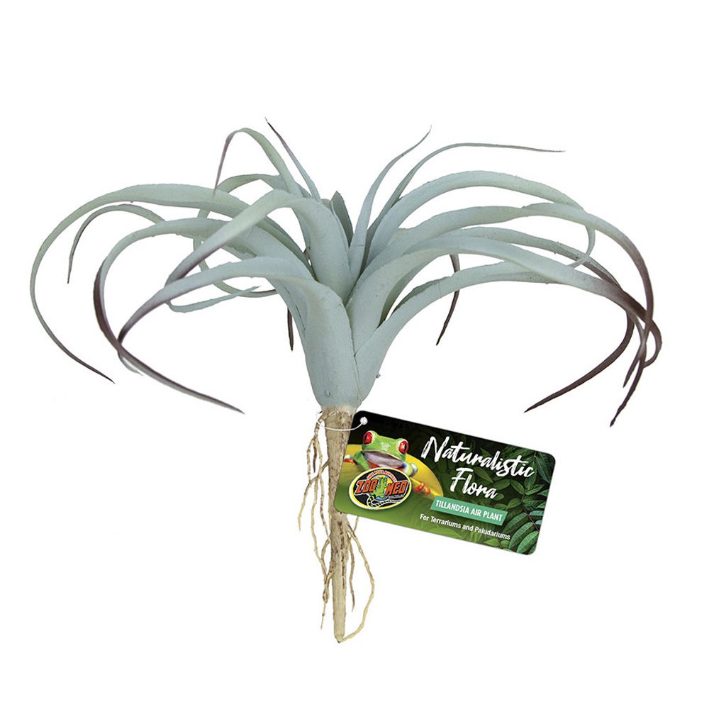 ZM Naturalistic Flora Tillandsia Air Plant, BU-64