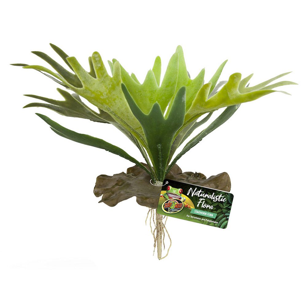 ZM Naturalistic Flora Staghorn Fern, BU-65