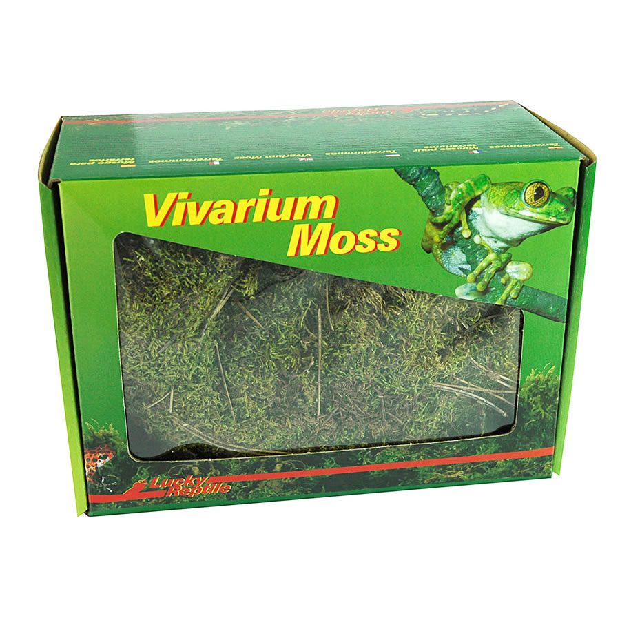 LR Dry Vivarium Moss 150g, VM-150 | Peregrine