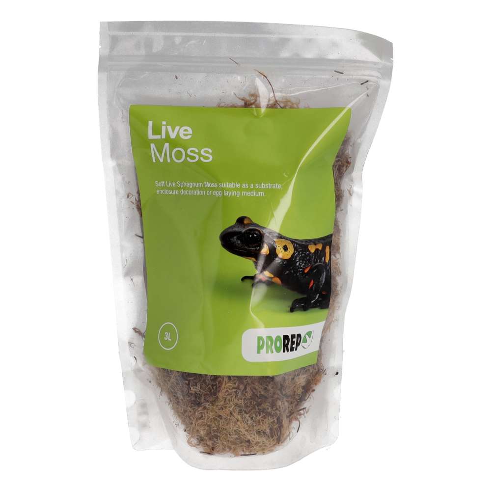 PR Live Moss, Large Bag (approx 3L)