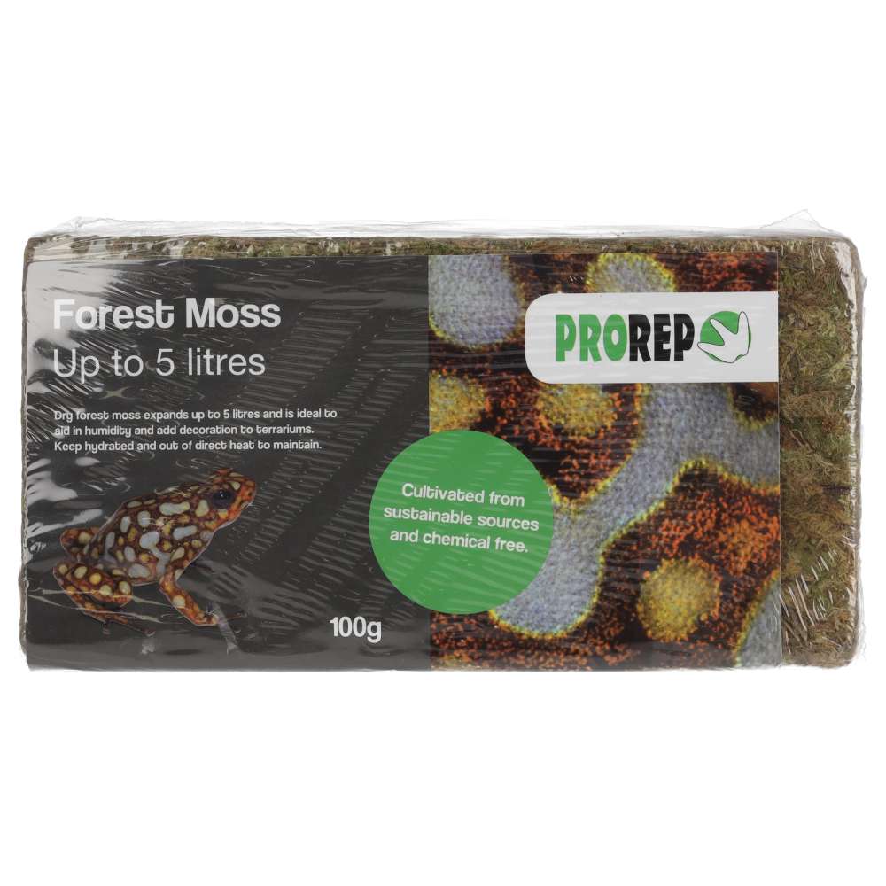 PR Forest Moss Brick 100g