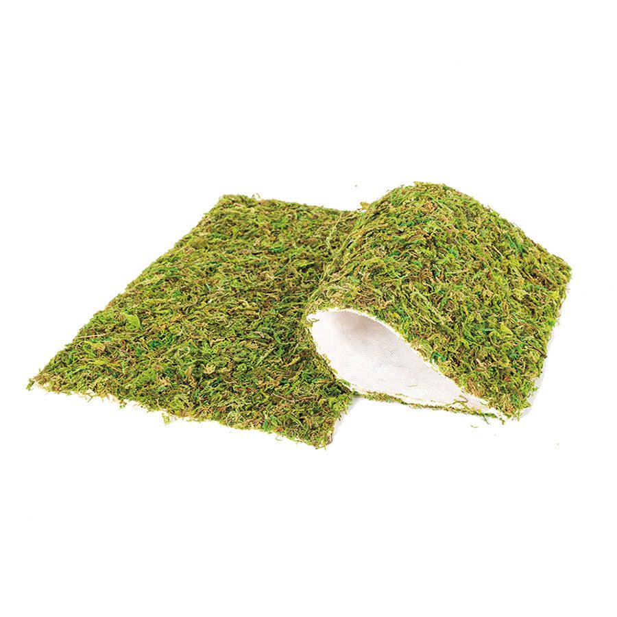 RZ Natural Moss Mat, 30x20cm, Pack of 2