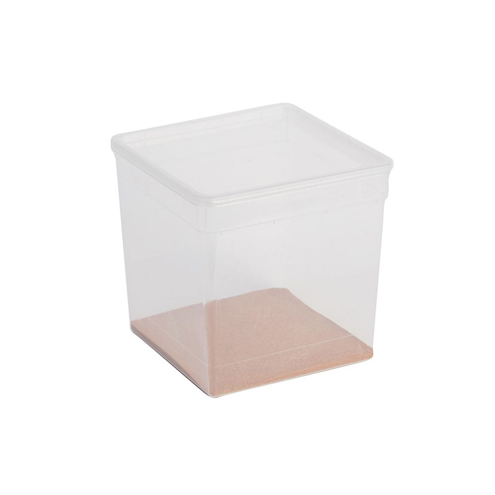 BraPlast Box & Lid  5.8L, 11058