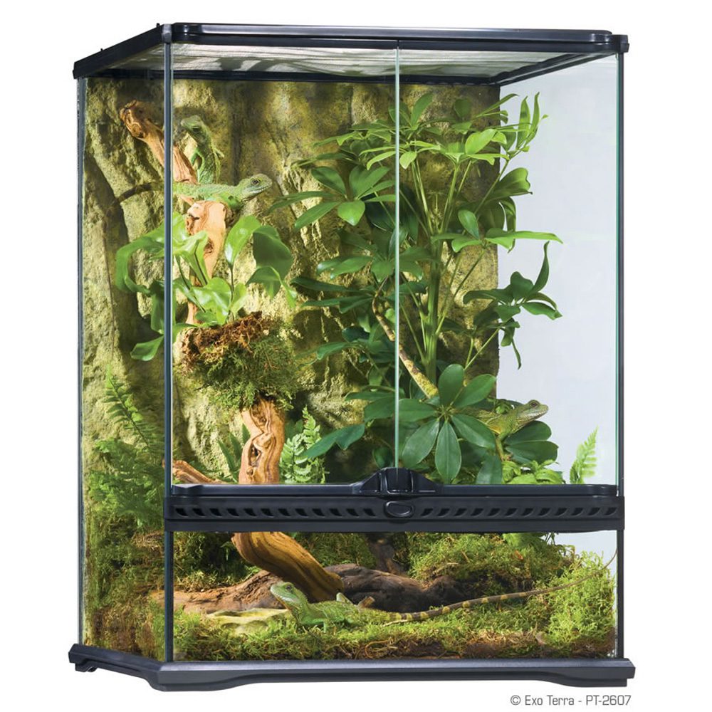 ET Terrarium Sml/Tall 45x45x60cm, PT2607 (H)