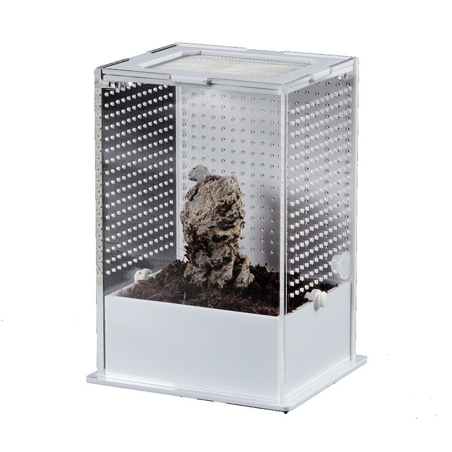 RZ White Base Insect Acrylic Box, 10x8.5x15cm