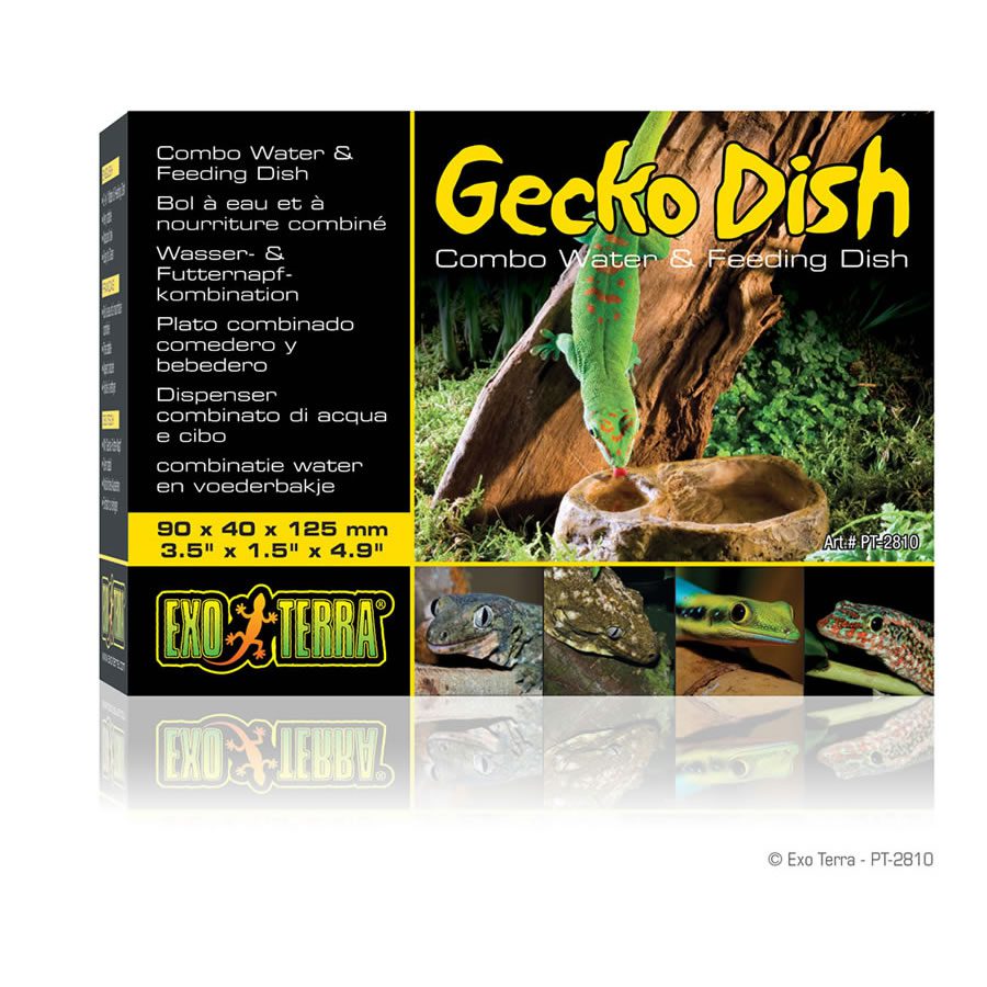 ET Gecko Dish, PT2810