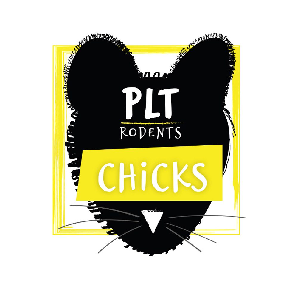 PLT Frozen Chicks 10 pack