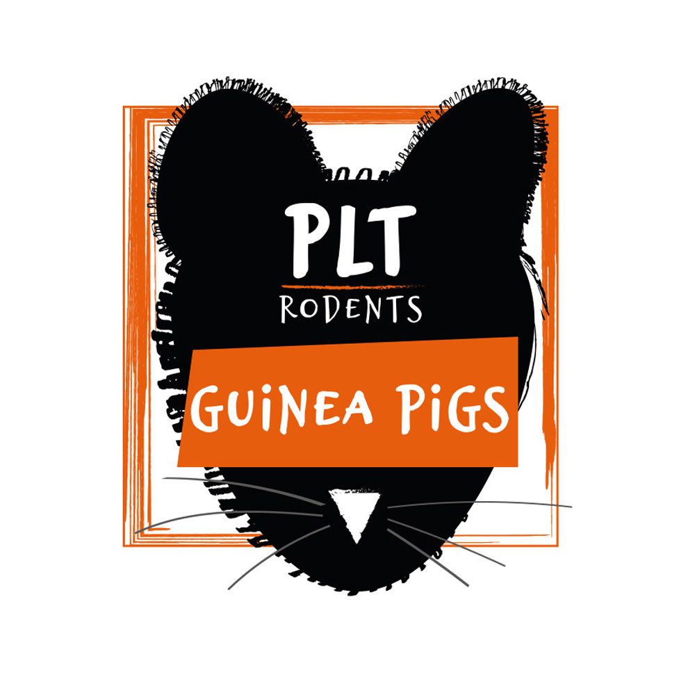 PLT Frozen Guinea Pig 100g+
