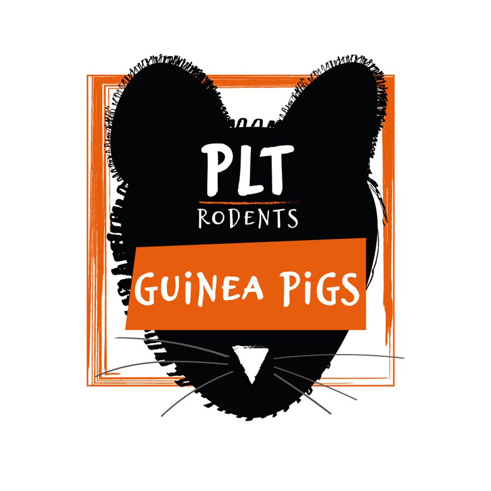 PLT Frozen Guinea Pig 600g+