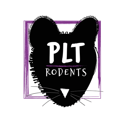 PLT Rodents